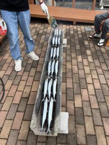 B0C3B991-5549-4F57-80E6-164437D703EA-scaled